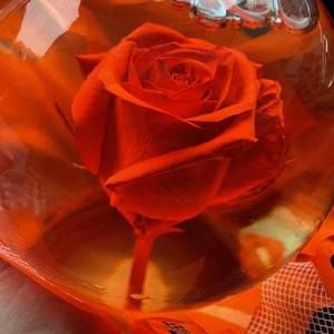 Meet your Posher, Geraldine